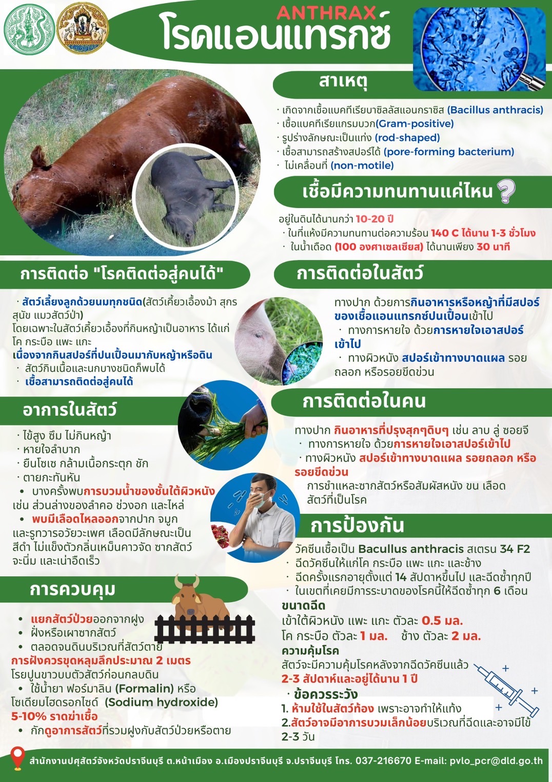 รูปแนบ